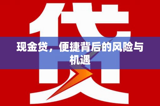 江岸现金贷，便捷背后的风险与机遇