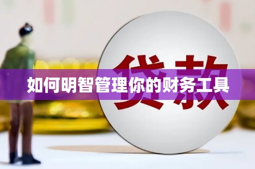 江岸如何明智管理你的财务工具