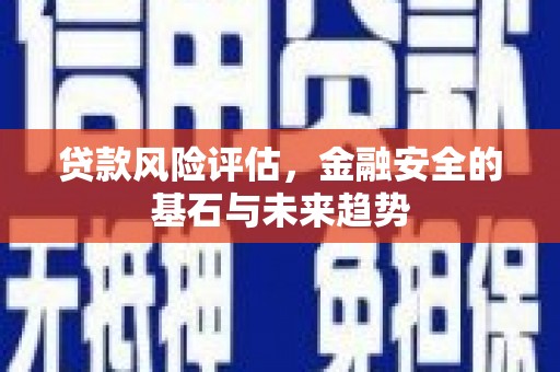 江岸贷款风险评估，金融安全的基石与未来趋势