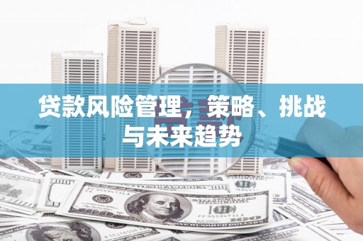 江岸贷款风险管理，策略、挑战与未来趋势