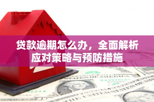 江岸贷款逾期怎么办，全面解析应对策略与预防措施