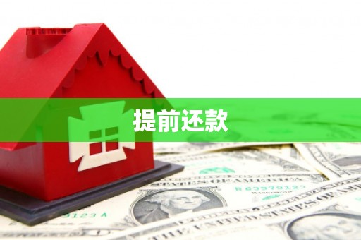 江岸提前还款
