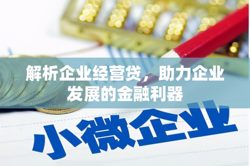 江岸解析企业经营贷，助力企业发展的金融利器
