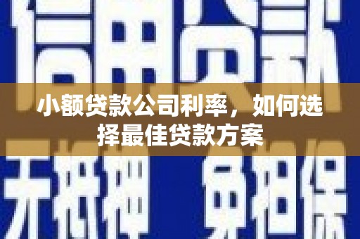 江岸小额贷款公司利率，如何选择最佳贷款方案