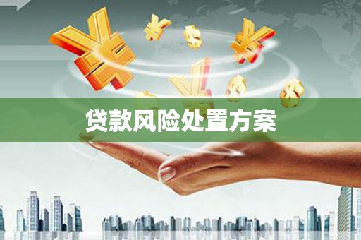 江岸贷款风险处置方案
