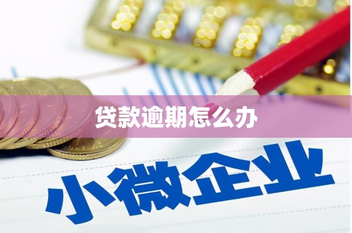 江岸贷款逾期怎么办