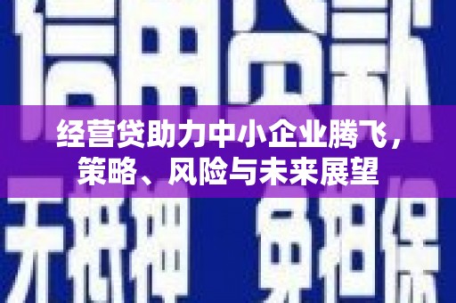 江岸经营贷助力中小企业腾飞，策略、风险与未来展望