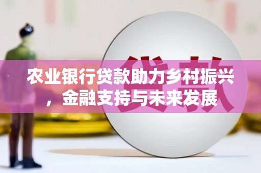 江岸农业银行贷款助力乡村振兴，金融支持与未来发展