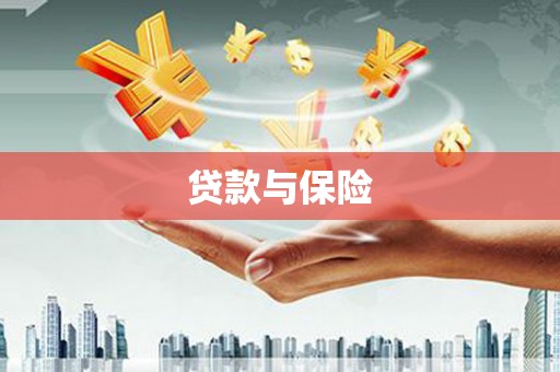 江岸贷款与保险