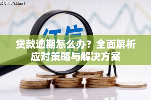 江岸贷款逾期怎么办？全面解析应对策略与解决方案
