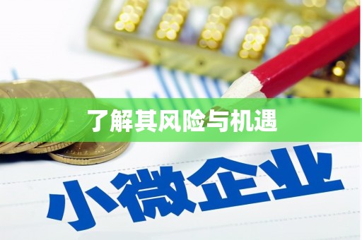 江岸了解其风险与机遇