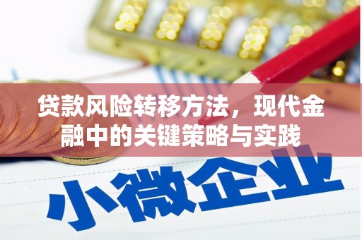 江岸贷款风险转移方法，现代金融中的关键策略与实践