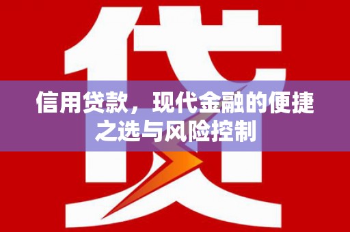 江岸信用贷款，现代金融的便捷之选与风险控制