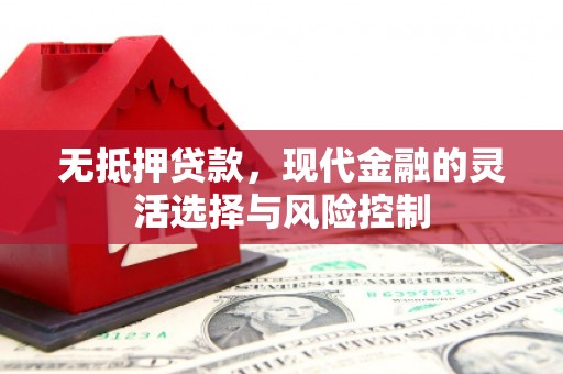 江岸无抵押贷款，现代金融的灵活选择与风险控制