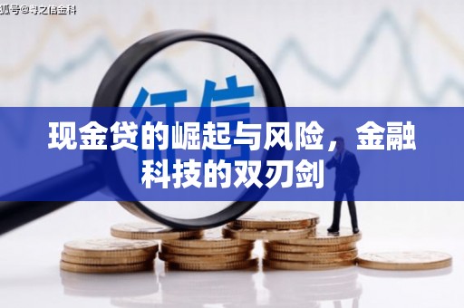 江岸现金贷的崛起与风险，金融科技的双刃剑
