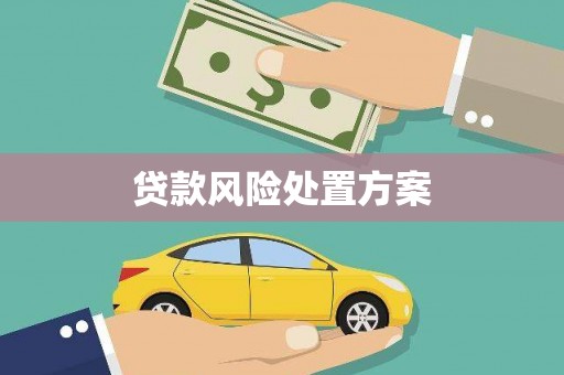 江岸贷款风险处置方案