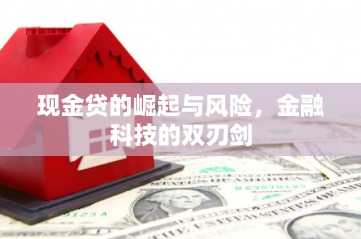 江岸现金贷的崛起与风险，金融科技的双刃剑