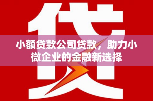 江岸小额贷款公司贷款，助力小微企业的金融新选择