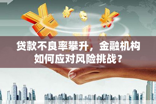 江岸贷款不良率攀升，金融机构如何应对风险挑战？
