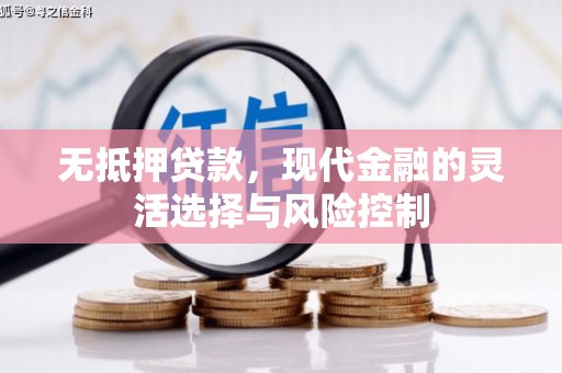 江岸无抵押贷款，现代金融的灵活选择与风险控制