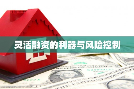 江岸灵活融资的利器与风险控制