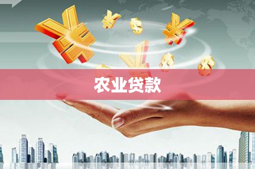 江岸农业贷款