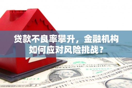 江岸贷款不良率攀升，金融机构如何应对风险挑战？