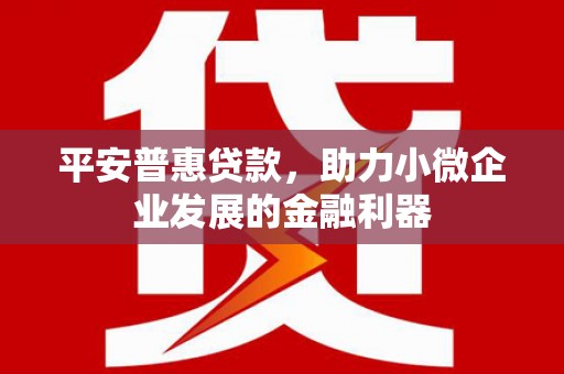 江岸平安普惠贷款，助力小微企业发展的金融利器