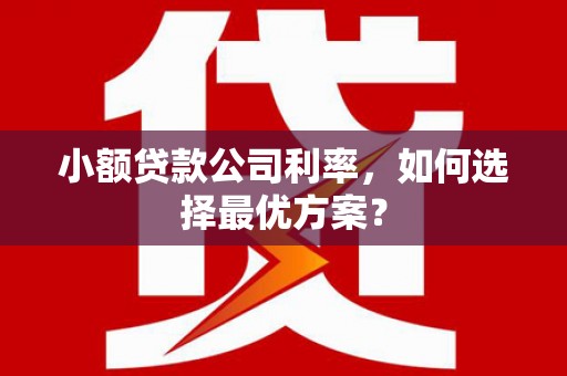 江岸小额贷款公司利率，如何选择最优方案？