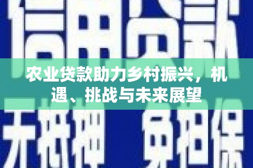 江岸农业贷款助力乡村振兴，机遇、挑战与未来展望
