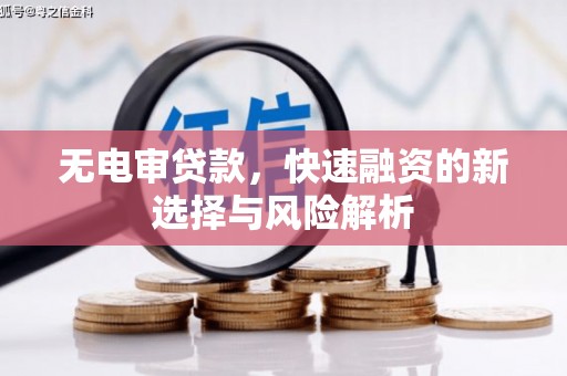 江岸无电审贷款，快速融资的新选择与风险解析