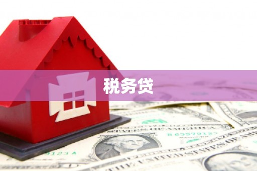 江岸税务贷