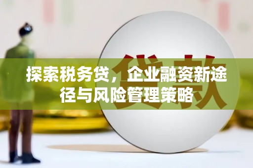 江岸探索税务贷，企业融资新途径与风险管理策略