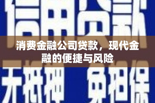 江岸消费金融公司贷款，现代金融的便捷与风险