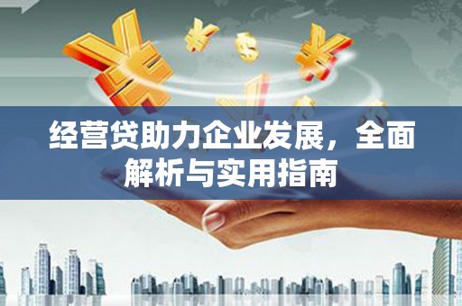 江岸经营贷助力企业发展，全面解析与实用指南