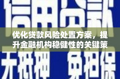 江岸优化贷款风险处置方案，提升金融机构稳健性的关键策略