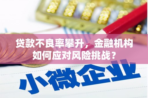 江岸贷款不良率攀升，金融机构如何应对风险挑战？