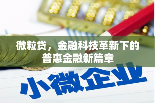 江岸微粒贷，金融科技革新下的普惠金融新篇章