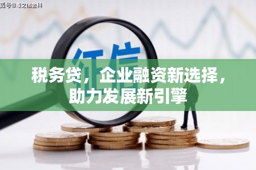 江岸税务贷，企业融资新选择，助力发展新引擎