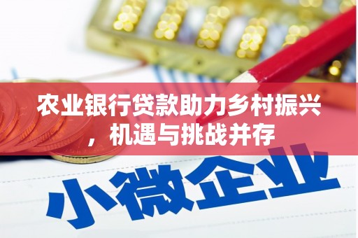 江岸农业银行贷款助力乡村振兴，机遇与挑战并存