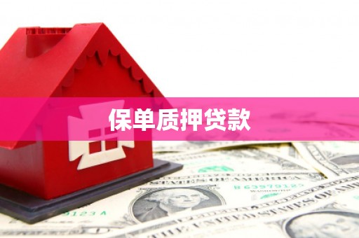 江岸保单质押贷款