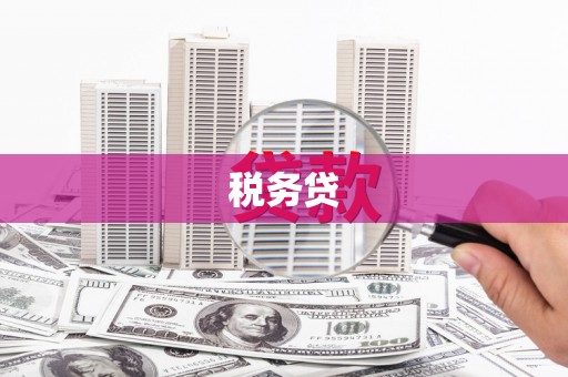 江岸税务贷