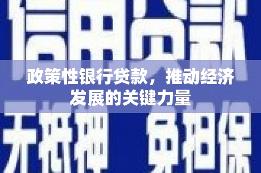 江岸政策性银行贷款，推动经济发展的关键力量