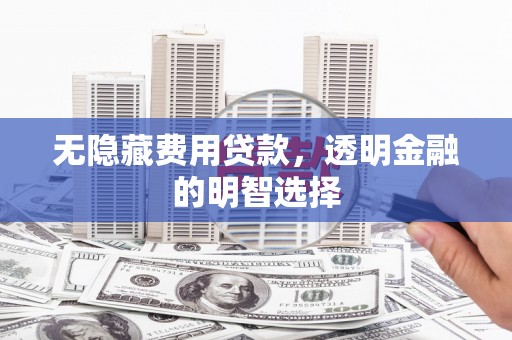 江岸无隐藏费用贷款，透明金融的明智选择