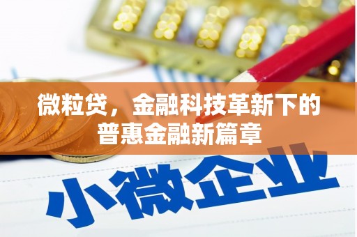 江岸微粒贷，金融科技革新下的普惠金融新篇章
