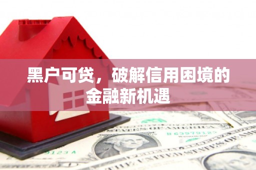 江岸黑户可贷，破解信用困境的金融新机遇