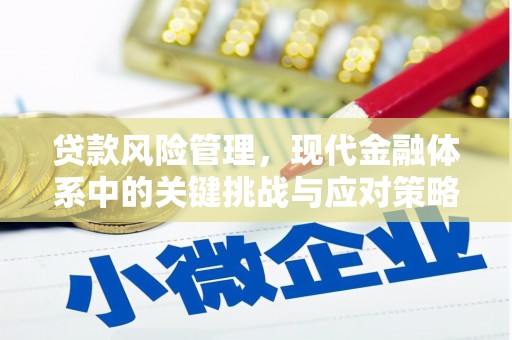 江岸贷款风险管理，现代金融体系中的关键挑战与应对策略