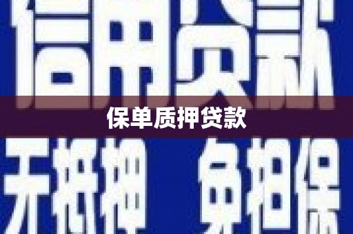 江岸保单质押贷款