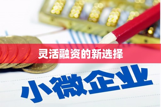 江岸灵活融资的新选择