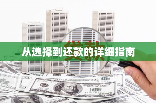 江岸从选择到还款的详细指南